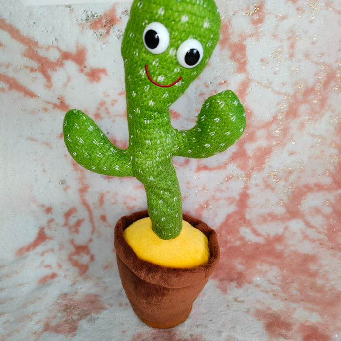 Cactus bailarín